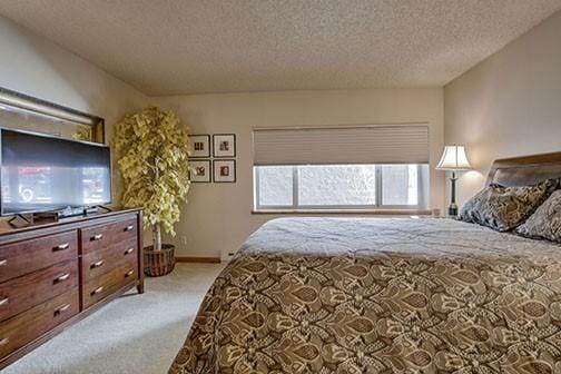 765 Columbine Rd Unit C103, Breckenridge, CO 80424 - carpeted bedroom featuring a textured ceiling