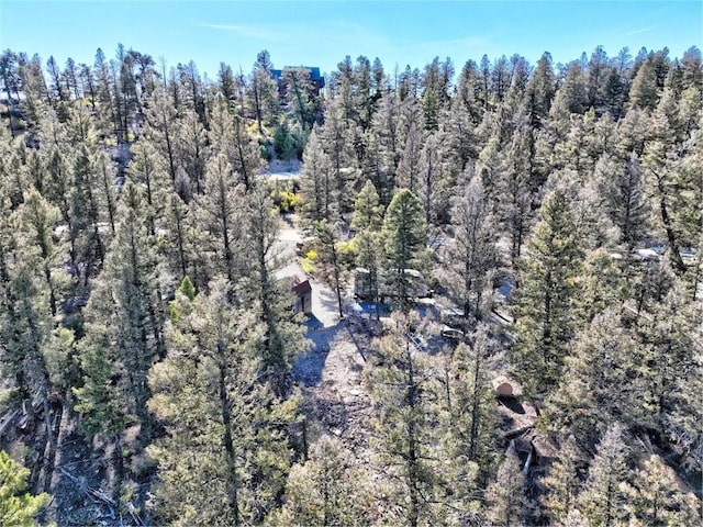 40 Trout Creek Ln, Fairplay, CO 80440
