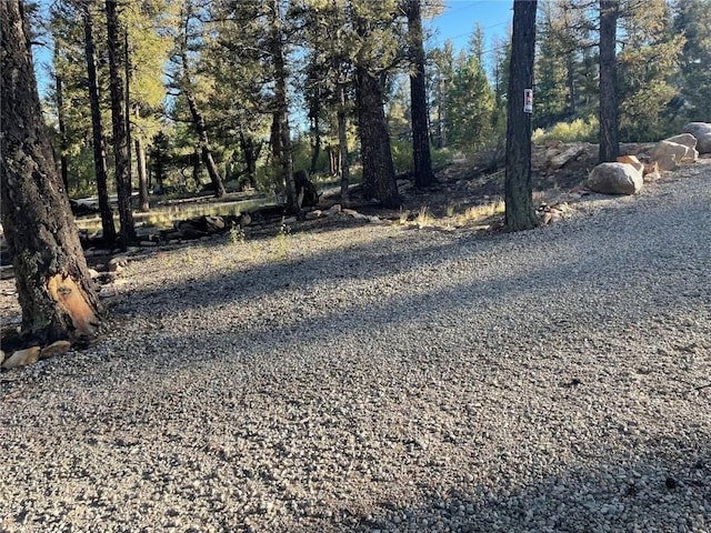 40 Trout Creek Ln, Fairplay, CO 80440