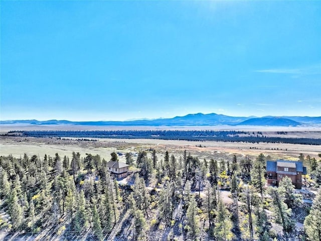40 Trout Creek Ln, Fairplay, CO 80440