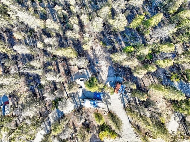 40 Trout Creek Ln, Fairplay, CO 80440