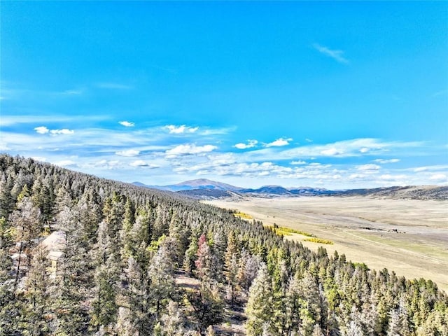 40 Trout Creek Ln, Fairplay, CO 80440