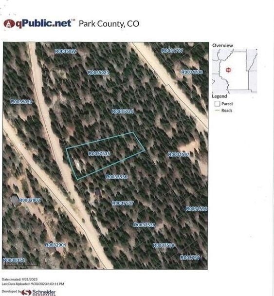 40 Trout Creek Ln, Fairplay, CO 80440
