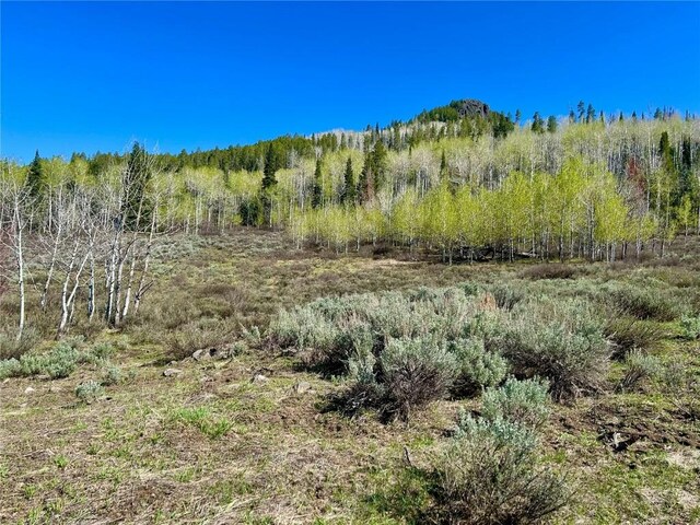 23950 Arapahoe Rd, Oak Creek, CO 80467