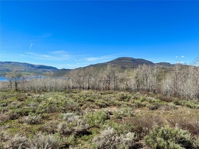 23950 Arapahoe Rd, Oak Creek, CO 80467