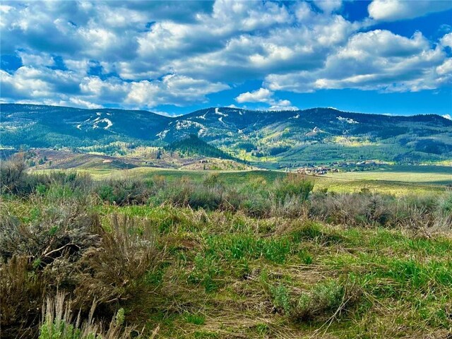 23950 Arapahoe Rd, Oak Creek, CO 80467