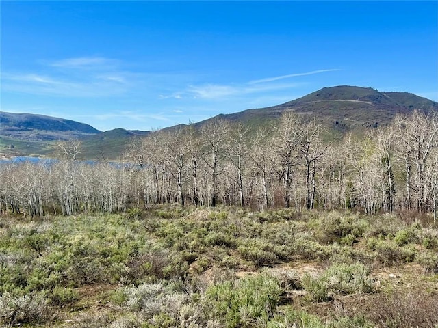 23950 Arapahoe Rd, Oak Creek, CO 80467