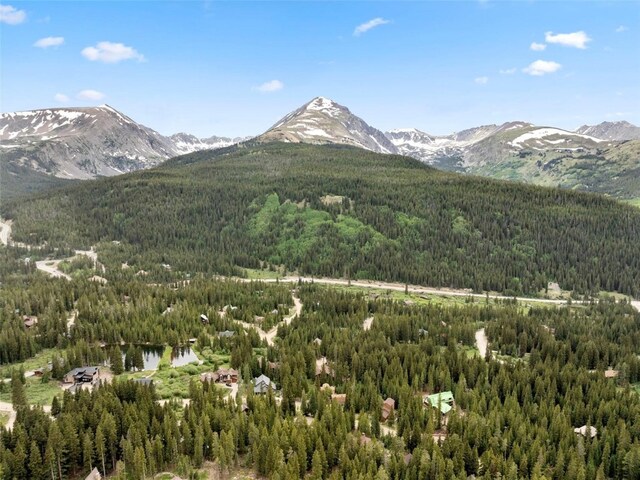 272 Doris Dr, Breckenridge, CO 80424 - view of mountain background featuring a forest