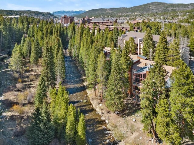 805 Columbine Rd Unit 202, Breckenridge, CO 80424 - aerial view of mountains