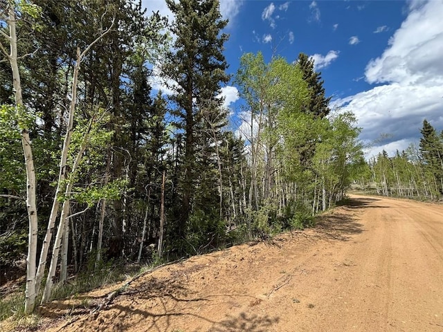 113 Ithaca Ln, Como, CO 80432
