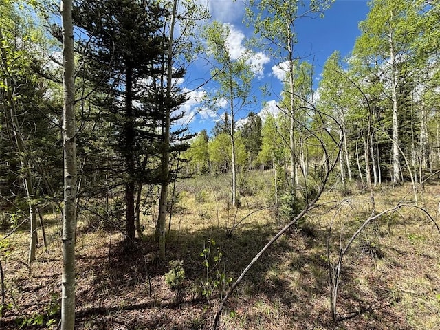 113 Ithaca Ln, Como, CO 80432