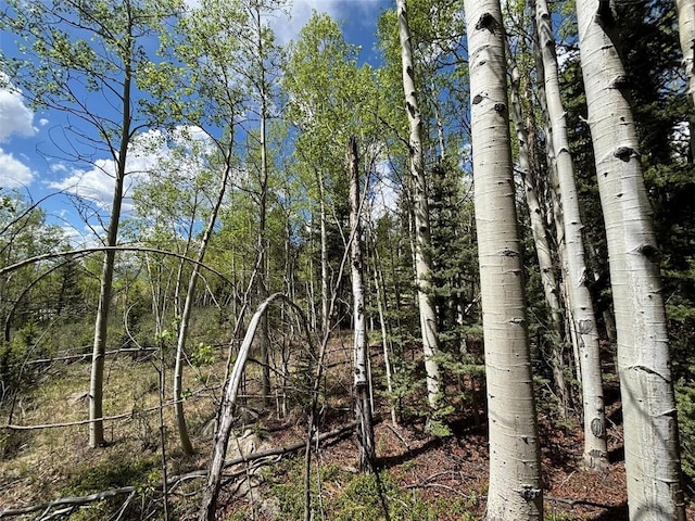 113 Ithaca Ln, Como, CO 80432