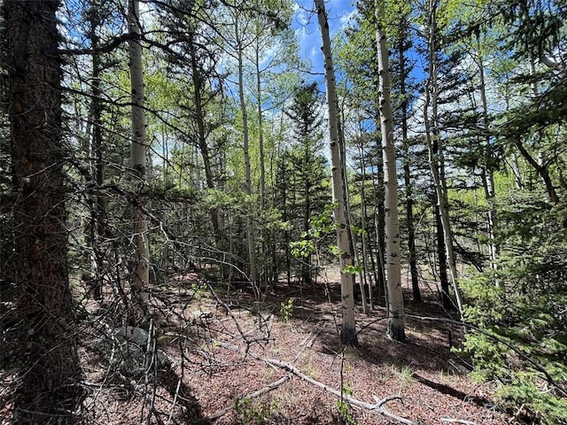113 Ithaca Ln, Como, CO 80432