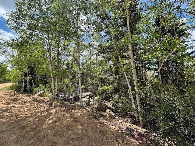 113 Ithaca Ln, Como, CO 80432