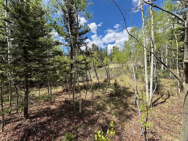 113 Ithaca Ln, Como, CO 80432