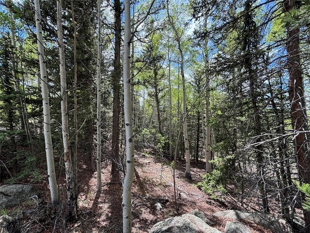 113 Ithaca Ln, Como, CO 80432