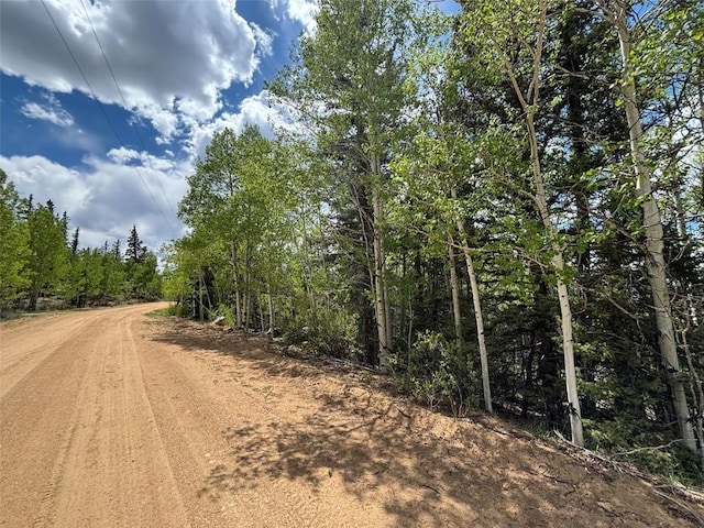 113 Ithaca Ln, Como, CO 80432