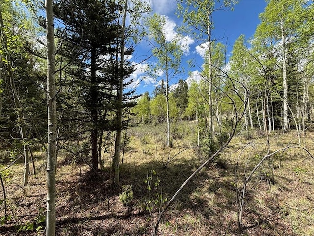 113 Ithaca Ln, Como, CO 80432