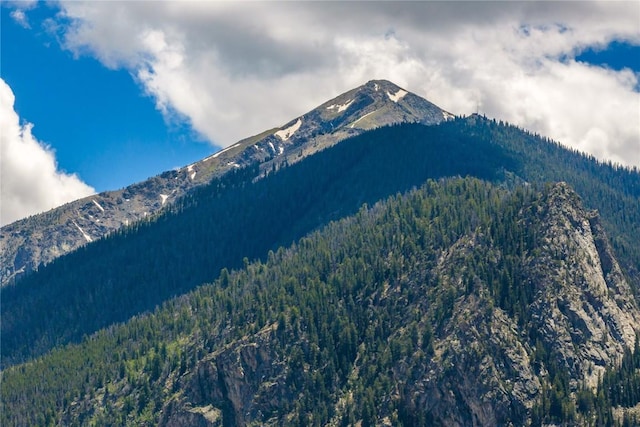185 Lusher Ct Unit 203, Frisco, CO 80443 - view of mountain feature featuring a view of trees