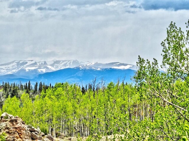 120 Puma Ct, Como, CO 80432