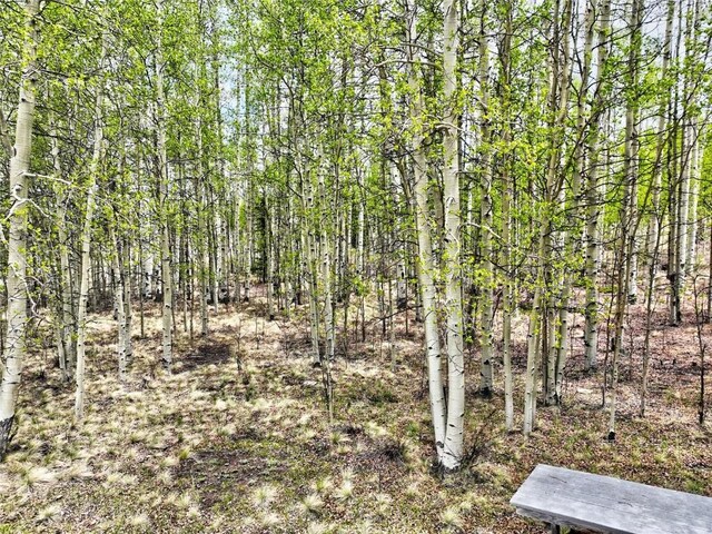 120 Puma Ct, Como, CO 80432