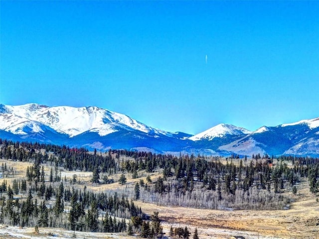 120 Puma Ct, Como, CO 80432