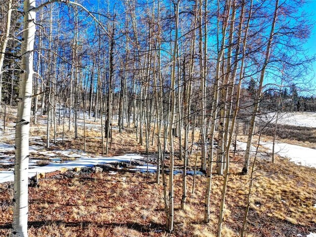 120 Puma Ct, Como, CO 80432