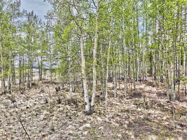 120 Puma Ct, Como, CO 80432
