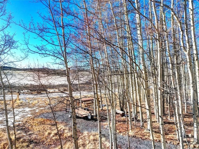 120 Puma Ct, Como, CO 80432