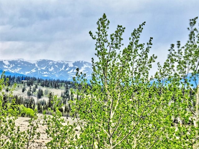 120 Puma Ct, Como, CO 80432