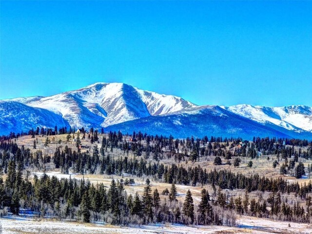 120 Puma Ct, Como, CO 80432