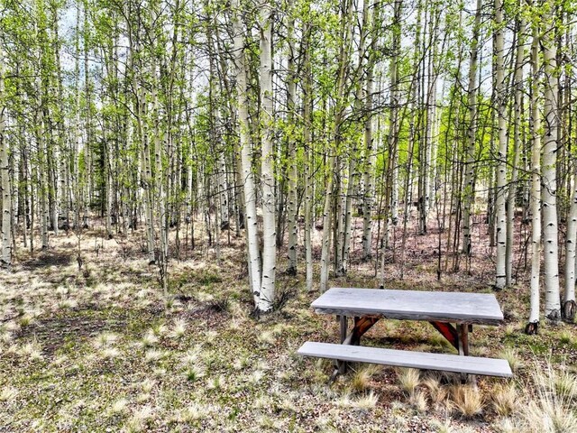 120 Puma Ct, Como, CO 80432