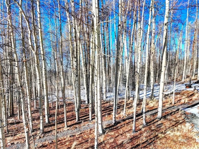 120 Puma Ct, Como, CO 80432