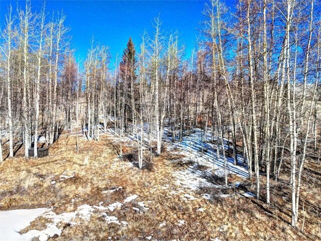 120 Puma Ct, Como, CO 80432