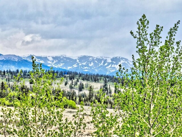 120 Puma Ct, Como, CO 80432