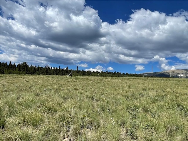 1957 Coil Dr, Fairplay, CO 80440 - photo 14