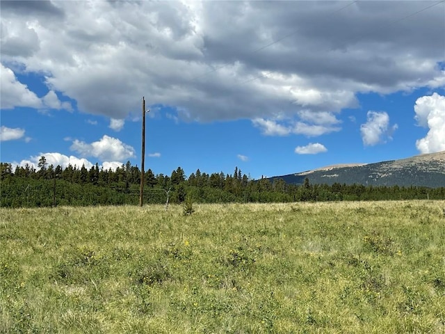 1957 Coil Dr, Fairplay, CO 80440 - photo 6