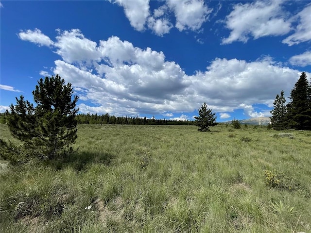 1957 Coil Dr, Fairplay, CO 80440 - photo 16