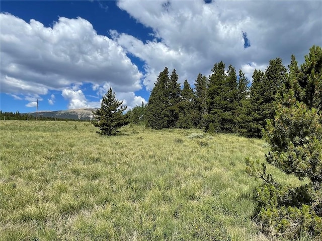 1957 Coil Dr, Fairplay, CO 80440 - photo 11