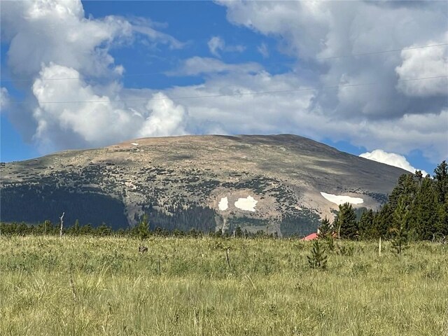 1957 Coil Dr, Fairplay, CO 80440 - photo 10