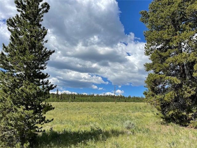 1957 Coil Dr, Fairplay, CO 80440 - photo 4