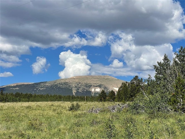 1957 Coil Dr, Fairplay, CO 80440 - photo 1