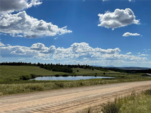 1957 Coil Dr, Fairplay, CO 80440 - photo 2