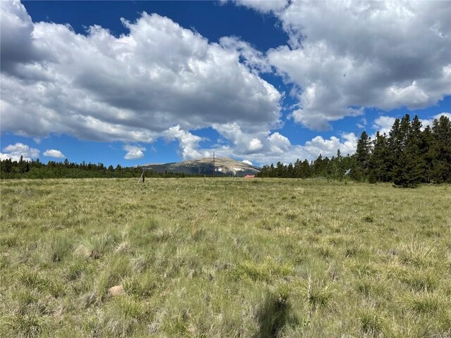 1957 Coil Dr, Fairplay, CO 80440 - photo 13