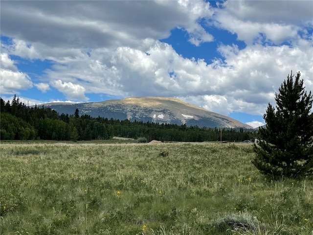 1957 Coil Dr, Fairplay, CO 80440 - photo 17