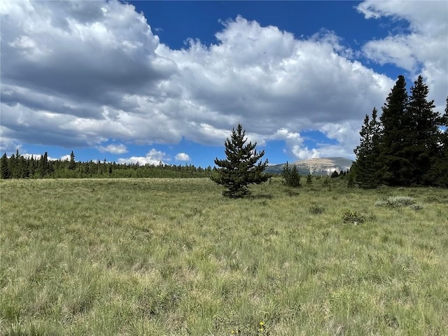 1957 Coil Dr, Fairplay, CO 80440 - photo 15