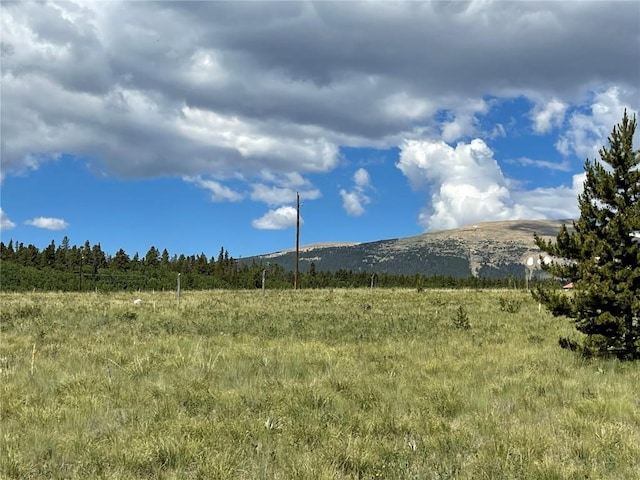 1957 Coil Dr, Fairplay, CO 80440 - photo 9