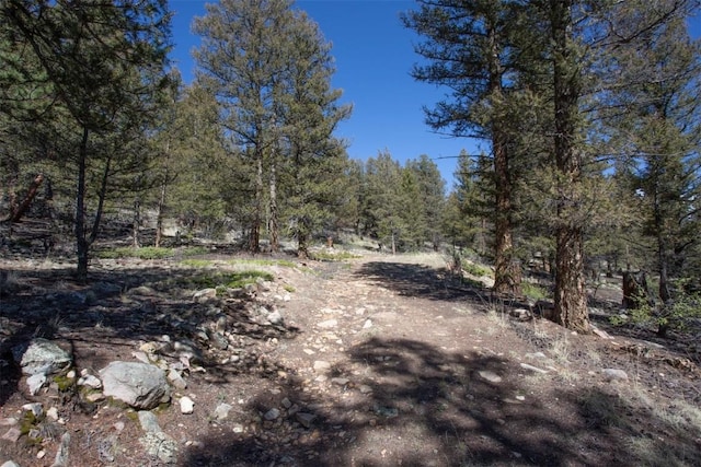 1787 Redhill Rd, Fairplay, CO 80440
