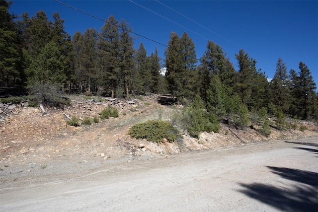 1787 Redhill Rd, Fairplay, CO 80440