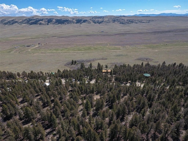 1787 Redhill Rd, Fairplay, CO 80440